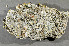  ( - O-L-200836)  @11 [ ] CreativeCommons - Attribution Non-Commercial (2016) Einar Timdal University of Oslo, Natural History Museum