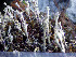  ( - O-L-201339)  @11 [ ] CreativeCommons - Attribution Non-Commercial (2016) Einar Timdal University of Oslo, Natural History Museum