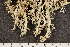  ( - O-L-210109)  @11 [ ] CreativeCommons - Attribution Non-Commercial (2019) Måns Svensson Swedish University of Agricultural Sciences