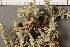  ( - O-L-210125)  @11 [ ] CreativeCommons - Attribution Non-Commercial (2019) Måns Svensson Swedish University of Agricultural Sciences
