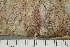 ( - TRH-L-28963)  @11 [ ] by-nc (2020) Einar Timdal Natural History Museum, University of Oslo, Norway