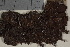  ( - TROM_L_1340014)  @11 [ ] CreativeCommons - Attribution Non-Commercial Share-Alike (2017) Unspecified Tromsø University Museum