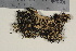  ( - TROM_L_47035)  @11 [ ] CreativeCommons - Attribution Non-Commercial Share-Alike (2017) Unspecified Tromsø University Museum