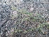  ( - BUITEMS-SHIN-190)  @11 [ ] Unspecified (default): All Rights Reserved (2019) Saima Masood BUITEMS