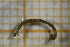  ( - OSB2EDR_Dip.MORPH-2_4)  @11 [ ] by-nc-nd (2023) Klaudyna Królikowska University of Lodz, Faculty of Biology and Environmental Protection