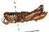  ( - RBMIS-0407)  @13 [ ] CreativeCommons - Attribution (2009) Unspecified Centre for Biodiversity Genomics