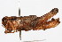  ( - RBMIS-0408)  @13 [ ] CreativeCommons - Attribution (2009) Unspecified Centre for Biodiversity Genomics