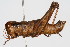  ( - RBMIS-0410)  @13 [ ] CreativeCommons - Attribution (2009) Unspecified Centre for Biodiversity Genomics