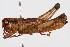  ( - RBMIS-0411)  @11 [ ] CreativeCommons - Attribution (2009) Unspecified Centre for Biodiversity Genomics
