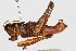  ( - RBMIS-0412)  @14 [ ] CreativeCommons - Attribution (2009) Unspecified Centre for Biodiversity Genomics