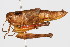  ( - RBMIS-0413)  @13 [ ] CreativeCommons - Attribution (2009) Unspecified Centre for Biodiversity Genomics