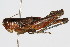  ( - RBMIS-0419)  @11 [ ] CreativeCommons - Attribution (2009) Unspecified Centre for Biodiversity Genomics