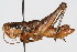  ( - RBMIS-0420)  @11 [ ] CreativeCommons - Attribution (2009) Unspecified Centre for Biodiversity Genomics
