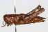 ( - RBMIS-0422)  @14 [ ] CreativeCommons - Attribution (2009) Unspecified Centre for Biodiversity Genomics