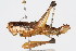  ( - RBMIS-0449)  @11 [ ] CreativeCommons - Attribution (2009) Unspecified Centre for Biodiversity Genomics