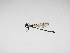  ( - MACN-V02127)  @11 [ ] CreativeCommons - Attribution Non-Commercial  Unspecified Unspecified