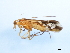  ( - 08ONCAD-0230.1)  @13 [ ] CreativeCommons - Attribution (2010) Unspecified Centre for Biodiversity Genomics