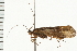  ( - 08ONCAD-0524)  @13 [ ] CreativeCommons - Attribution (2008) Unspecified Centre for Biodiversity Genomics