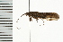  ( - 08ONCAD-0593)  @13 [ ] CreativeCommons - Attribution (2008) Unspecified Centre for Biodiversity Genomics