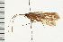  ( - 08ONCAD-0620)  @13 [ ] CreativeCommons - Attribution (2008) Unspecified Centre for Biodiversity Genomics