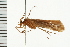  ( - 08ONCAD-0621)  @13 [ ] CreativeCommons - Attribution (2008) Unspecified Centre for Biodiversity Genomics