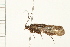  ( - 08ONCAD-0787)  @13 [ ] CreativeCommons - Attribution (2008) Unspecified Centre for Biodiversity Genomics