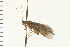  ( - 08ONCAD-0301)  @13 [ ] CreativeCommons - Attribution (2008) Unspecified Centre for Biodiversity Genomics