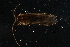  ( - 08ONCAD-0079)  @12 [ ] CreativeCommons - Attribution (2008) Unspecified Centre for Biodiversity Genomics