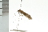  ( - 08ONCAD-0400)  @13 [ ] CreativeCommons - Attribution (2008) Unspecified Centre for Biodiversity Genomics