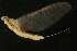  ( - 08ONMAY-0151)  @13 [ ] CreativeCommons - Attribution (2009) Unspecified Centre for Biodiversity Genomics