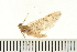  ( - 08ONMAY-0065)  @13 [ ] CreativeCommons - Attribution (2008) Unspecified Centre for Biodiversity Genomics