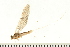  ( - 08ONMAY-0099)  @13 [ ] CreativeCommons - Attribution (2008) Unspecified Centre for Biodiversity Genomics