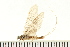  ( - 08ONMAY-0138)  @13 [ ] CreativeCommons - Attribution (2008) Unspecified Centre for Biodiversity Genomics