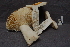  ( - TRTC157061)  @11 [ ] CreativeCommons - Attribution Non-Commercial Share-Alike (2010) Unspecified Royal Ontario Museum