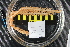  ( - NA097-105-01-A-BOL)  @11 [ ] CreativeCommons - Attribution Non-Commercial Share-Alike (2018) Tammy Norgard Ocean Exploration Trust, Northeast Pacific Seamount Expedition Partners