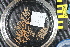  ( - NA097-104-01-A-BOL)  @11 [ ] CreativeCommons - Attribution Non-Commercial Share-Alike (2018) Tammy Norgard Ocean Exploration Trust, Northeast Pacific Seamount Expedition Partners