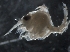  ( - IOS2010036-005)  @11 [ ] Unspecified (default): All Rights Reserved  R John Nelson Unspecified