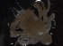  ( - IOS2010036-025)  @11 [ ] Unspecified (default): All Rights Reserved  R John Nelson Unspecified
