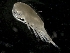  ( - IOS2014011-005)  @11 [ ] CreativeCommons - Attribution Non-Commercial Share-Alike (2019) R. John Nelson Fisheries and Oceans Canada