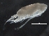  ( - IOS2017001-024)  @11 [ ] CreativeCommons - Attribution Non-Commercial Share-Alike (2019) R. John Nelson Fisheries and Oceans Canada