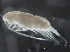  ( - IOS2017001-025)  @11 [ ] CreativeCommons - Attribution Non-Commercial Share-Alike (2019) R. John Nelson Fisheries and Oceans Canada