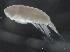  ( - IOS2017001-026)  @11 [ ] CreativeCommons - Attribution Non-Commercial Share-Alike (2019) R. John Nelson Fisheries and Oceans Canada
