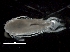  ( - IOS2017011-012)  @11 [ ] CreativeCommons - Attribution Non-Commercial Share-Alike (2019) R. John Nelson Fisheries and Oceans Canada