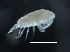  ( - IOS2018025-007)  @11 [ ] CreativeCommons - Attribution Non-Commercial Share-Alike (2019) R. John Nelson Fisheries and Oceans Canada