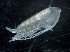  ( - IOS2018034-272)  @11 [ ] CreativeCommons - Attribution Non-Commercial Share-Alike (2019) R. John Nelson Fisheries and Oceans Canada