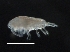  ( - IOS2018034-404)  @11 [ ] CreativeCommons - Attribution Non-Commercial Share-Alike (2019) R. John Nelson Fisheries and Oceans Canada