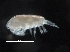  ( - IOS2018034-405)  @11 [ ] CreativeCommons - Attribution Non-Commercial Share-Alike (2019) R. John Nelson Fisheries and Oceans Canada