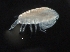  ( - IOS2018034-408)  @11 [ ] CreativeCommons - Attribution Non-Commercial Share-Alike (2019) R. John Nelson Fisheries and Oceans Canada