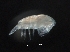  ( - IOS2018034-409)  @11 [ ] CreativeCommons - Attribution Non-Commercial Share-Alike (2019) R. John Nelson Fisheries and Oceans Canada