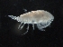  ( - IOS2018034-421)  @11 [ ] CreativeCommons - Attribution Non-Commercial Share-Alike (2019) R. John Nelson Fisheries and Oceans Canada